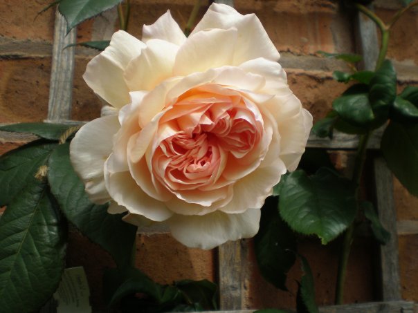 6048_119493063383_7528982_n