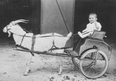 tumblr_lvpcijGPXR1qbxdq1o1_1280