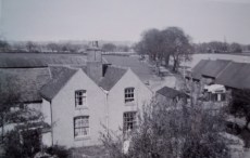 View of Owletts Hall Farm in the 1940s, down the tree lined drive to the Lodge on Lynn Lane. How did my dad take this photo?