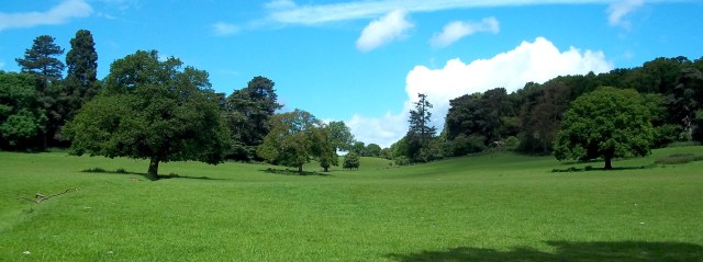 A typically gorgeous Needwood scene near Dunstall.
